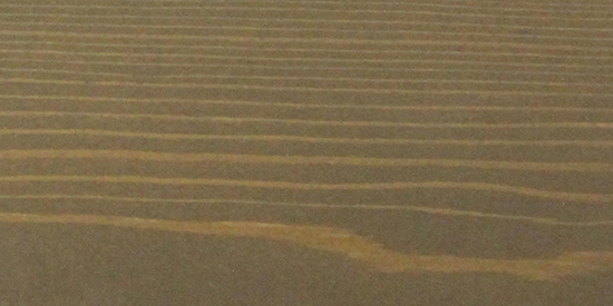 Выбранный цвет